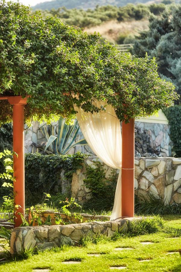 Dm Elegant And Charming Villa Foinikia  ภายนอก รูปภาพ